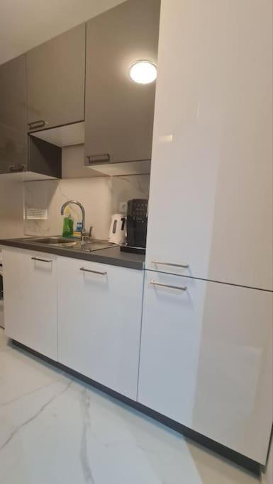 Mias Luxury Apartment 리예카 외부 사진